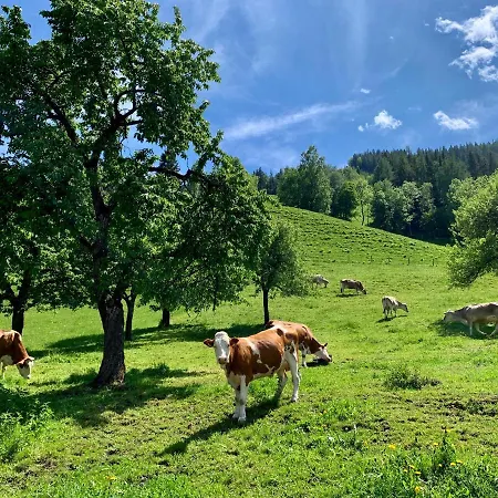 Frechhof Apartamento