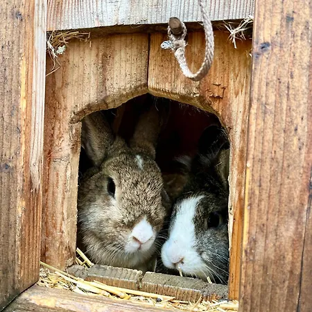 Frechhof 아파트 *