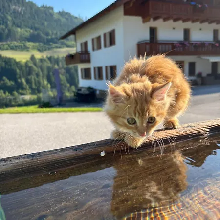 Frechhof 아파트 슈라드밍