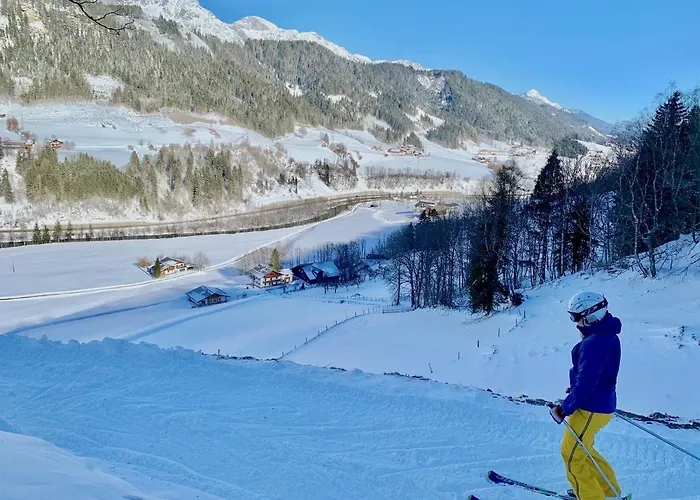 Apartment Frechhof *