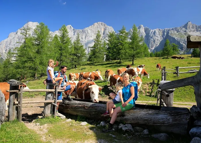 Apartment Frechhof *