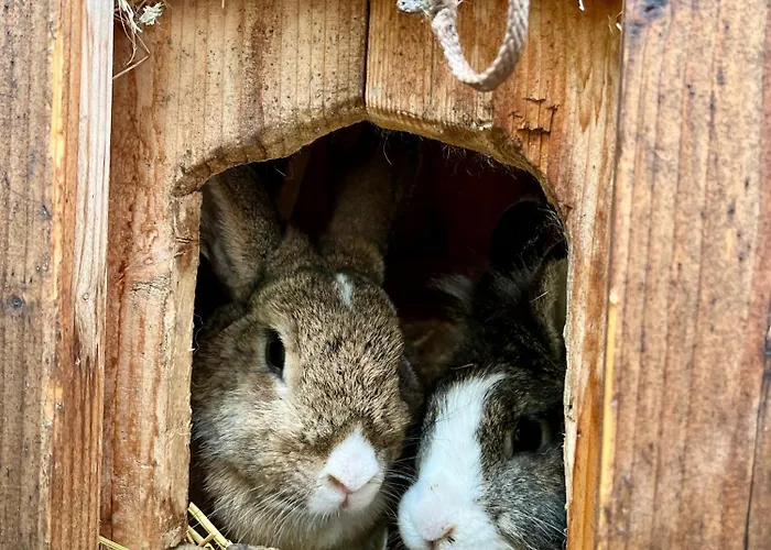 Frechhof Apartment *