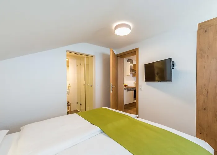 Apartment Frechhof Schladming